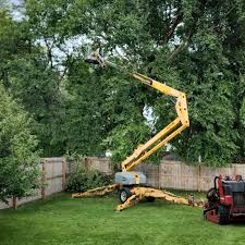 Best Lawn Grading and Leveling  in University Center, VA